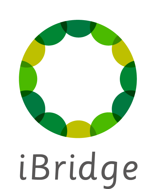 iBridge