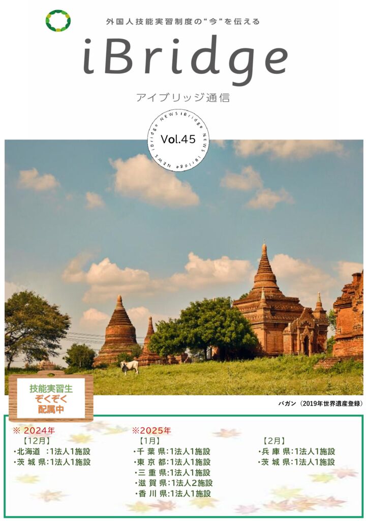 アイブリッジ通信 VOL45のサムネイル